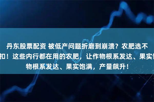 丹东股票配资 被低产问题折磨到崩溃？农肥选不对，产量大打折扣！这些内行都在用的农肥，让作物根系发达、果实饱满，产量飙升！